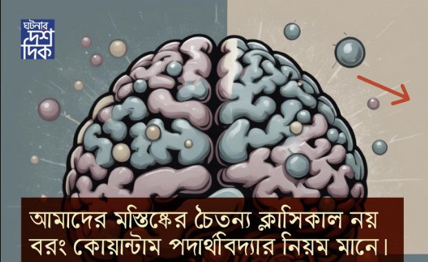 আমাদের মস্তিষ্কের চেতনা ক্লাসিক্যাল নয় বরং কোয়ান্টাম পদার্থবিদ্যার নিয়ম মানে