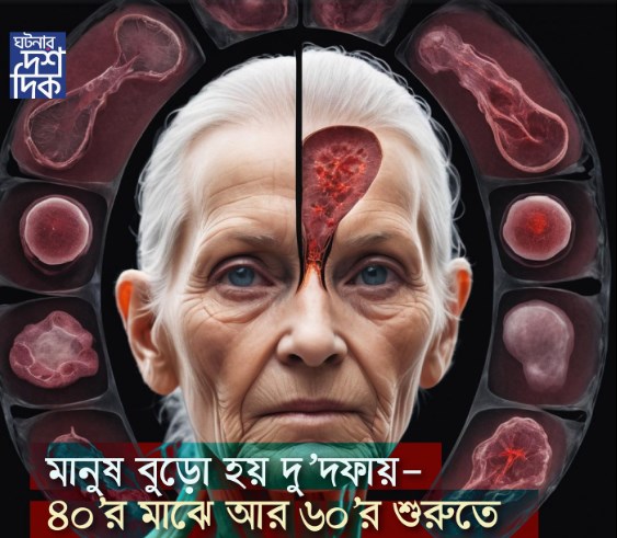 মানুষ বুড়ো হয় দু’দফায় – ৪০’র মাঝে আর ৬০’র শুরুতে।