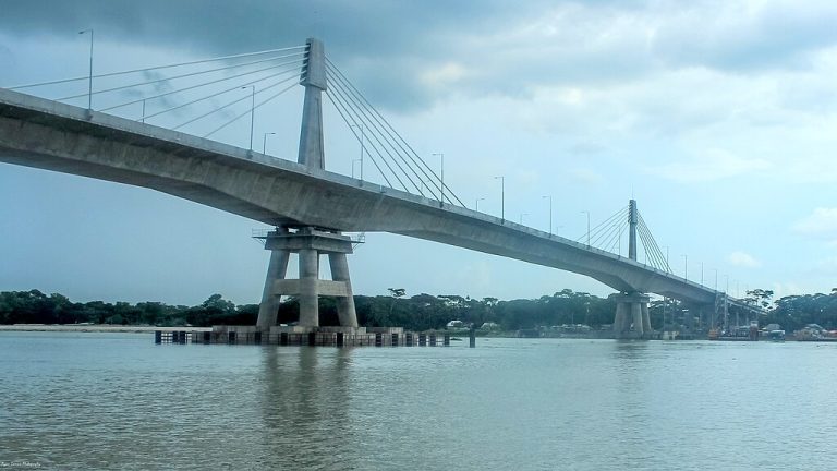 পায়রা বন্দর অর্থনীতির জন্য বিষফোঁড়া – পরিকল্পনা উপদেষ্টা