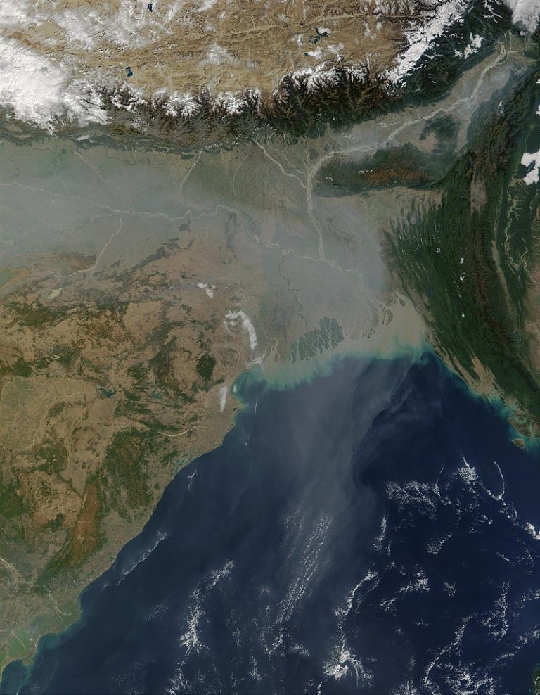জলবায়ু পরিবর্তন মোকাবিলায় AI কিভাবে সহায়ক হতে পারে?