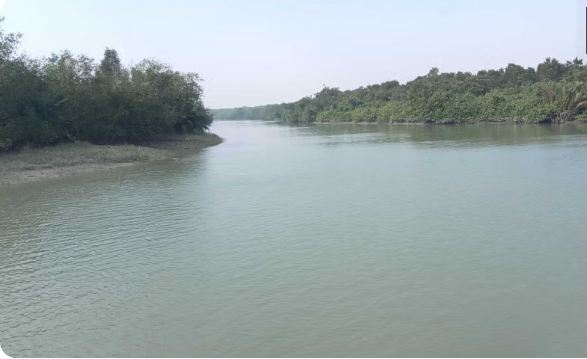 নদী না খাল ? কেন তালিকা থেকে বাদ পড়লো সুন্দরবনের অনেক গুলো নদী ?