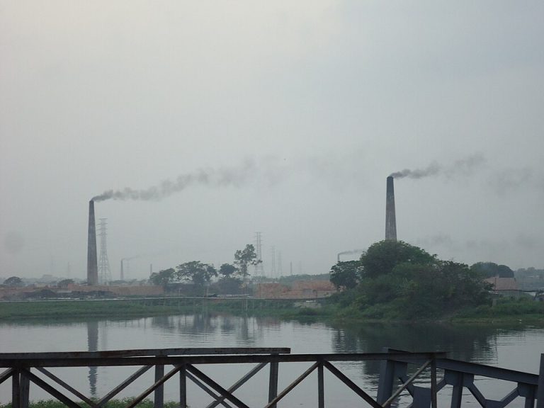 বায়ু দূষণ – মস্তিষ্কের স্বাস্থ্যেও প্রভাব ফেলছে
