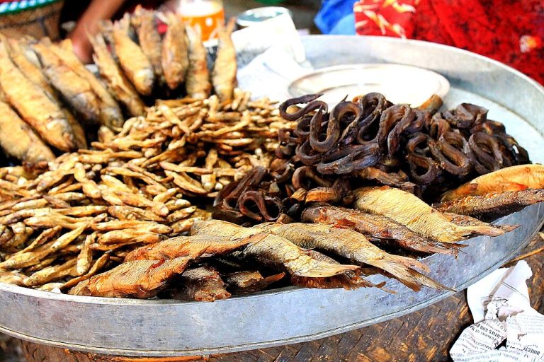 শুঁটকি মাছে কীটনাশক , ক্যানসারের ঝুঁকি : গবেষণা