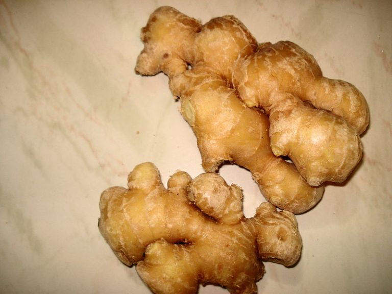 আদা’র যত গুণ –