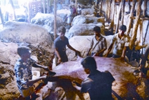 চীনের দখলে বাংলাদেশের চামড়া শিল্প