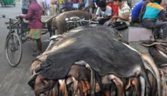 কোরবানির অর্থনীতি –