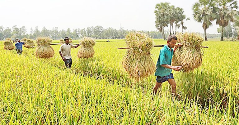 কৃষি ঋণ সরাসরি কৃষকের কাছে যায় কিনা তদারকি করবে – বাংলাদেশ ব্যাংক