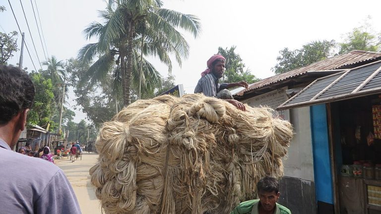 ভারতে বাংলাদেশি পাটপণ্য রপ্তানি বন্ধ হওয়ার পথে