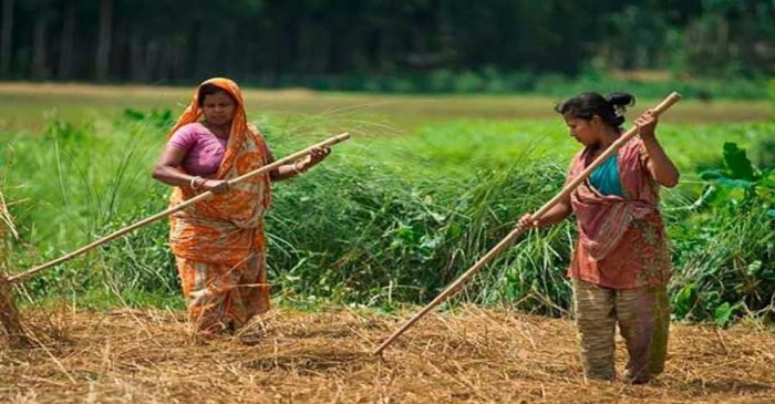 বিবিএস-এর প্রতিবেদন – দেশের গৃহস্থালির কাজে নারীর বিনা মজুরির শ্রমের মূল্য বছরে ৫,৭০,০০০ কোটি টাকা