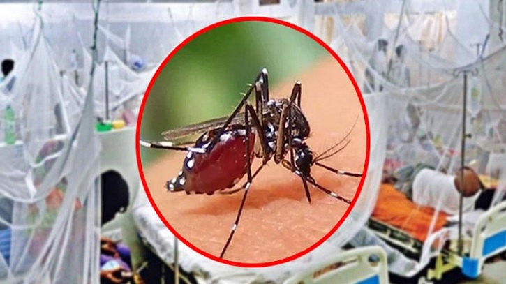চলতি বছরে ৫০ হাজার ছাড়িয়েছে ডেঙ্গু আক্রান্ত